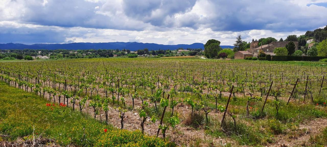Domaine Des Francobelges - Appartements Lauris 外观 照片